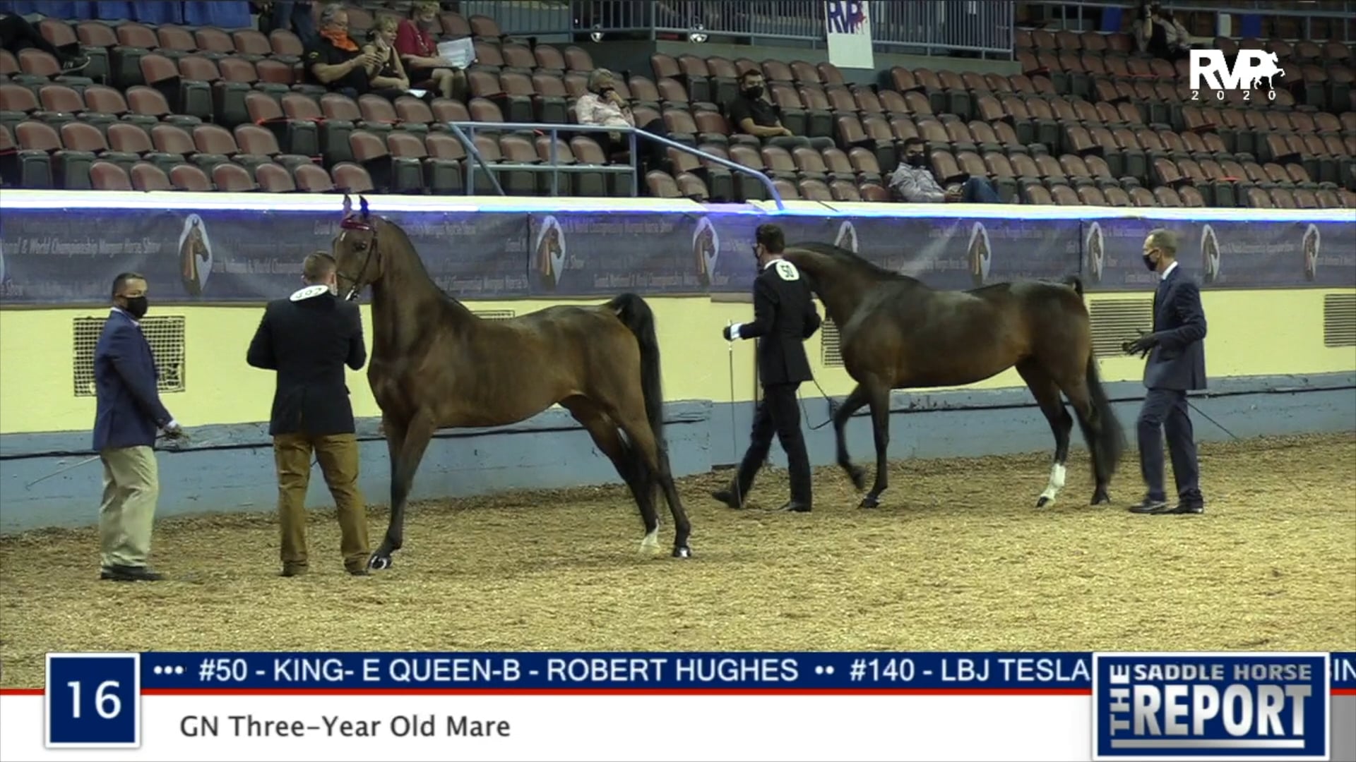 2020 MGN - Class 16 GN Three-Year-Old Mare