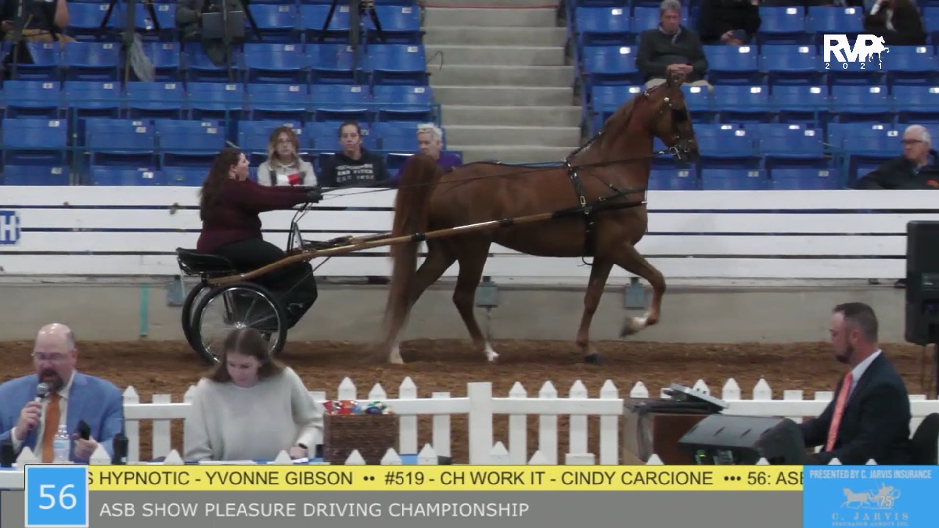 SSSF21 - Class 56 - ASB Show Pleasure Driving Championship