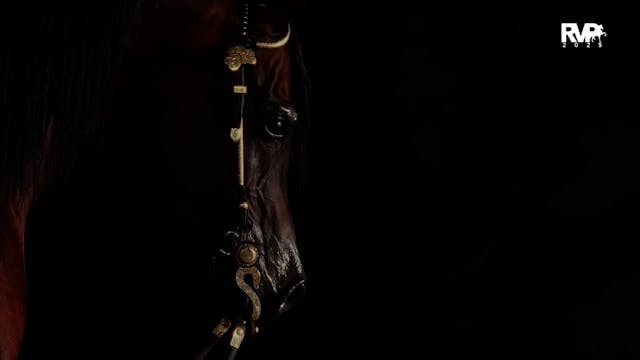 2025 Arabian Nationals - Wednesday Af...