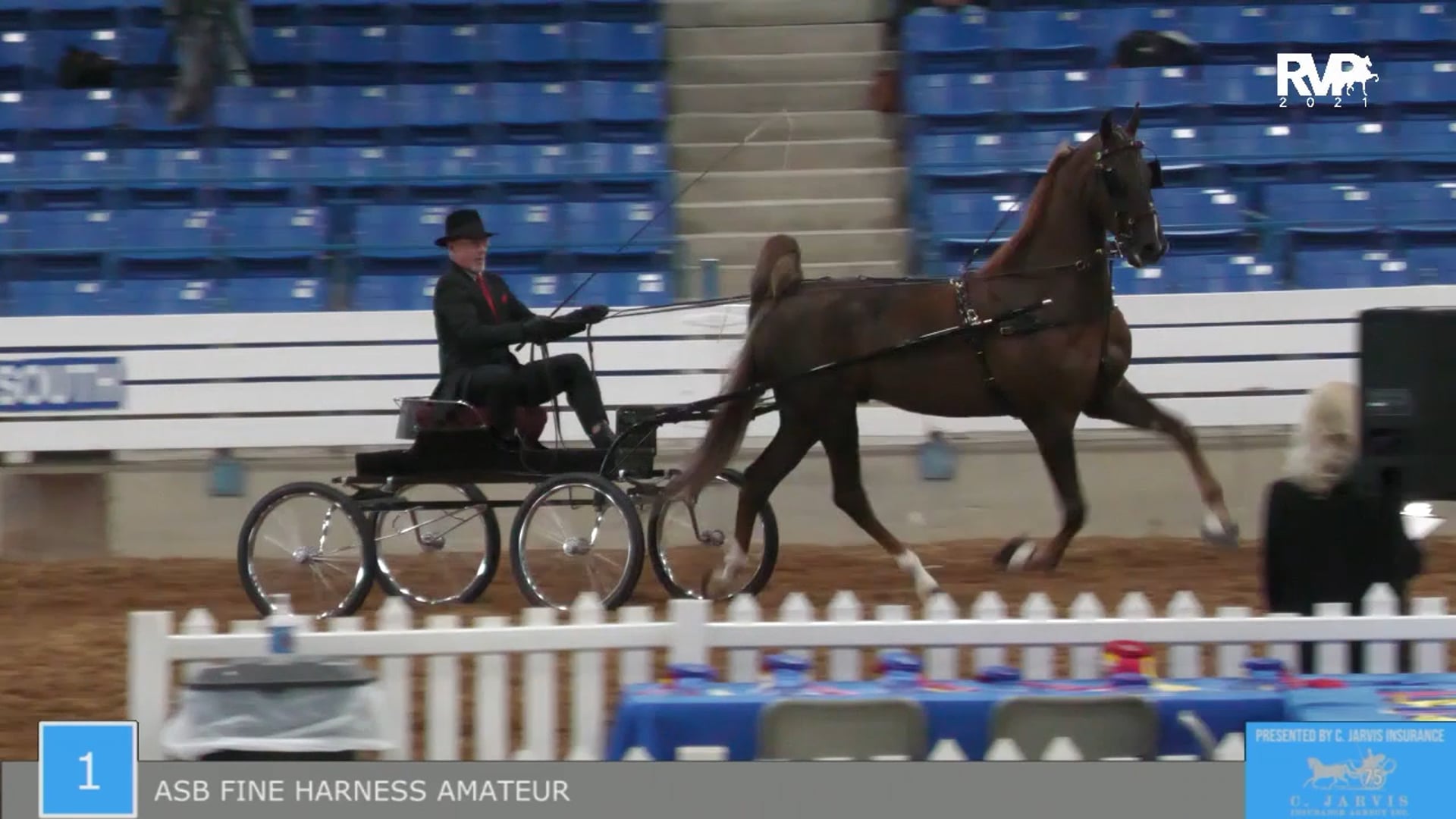 SSSF21 - Class 1 - ASB Fine Harness Amateur