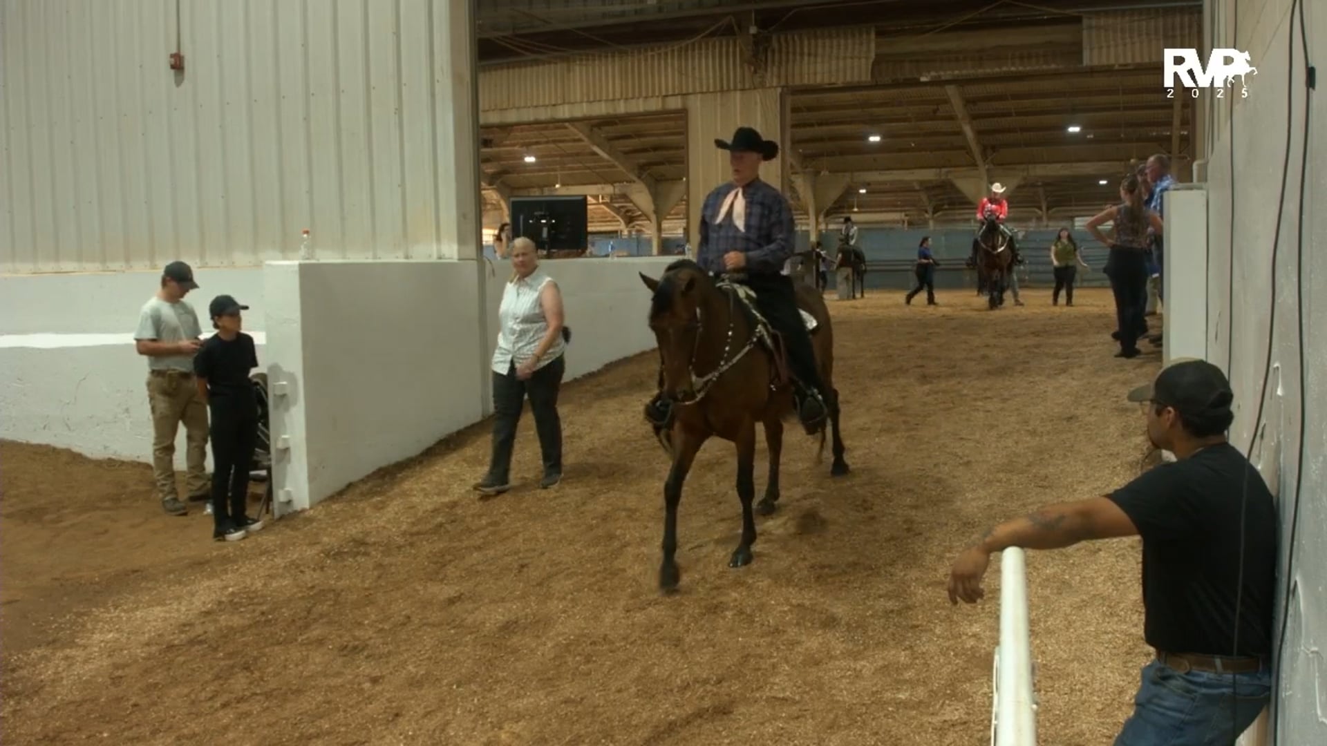 MGN25 - Class 322 - GN Western Pleasure Amateur Owned-Trained-Showed