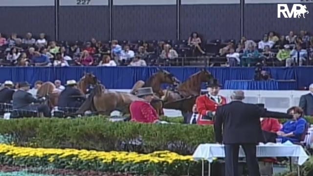 2009 World's Championship Horse Show ...