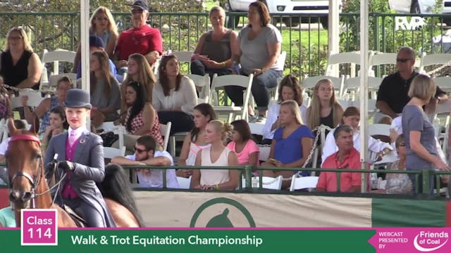 2015 LJL - Class 114.1 Walk & Trot Eq...