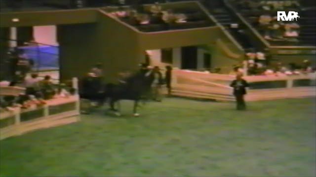 1983 World's Championship Horse Show ...