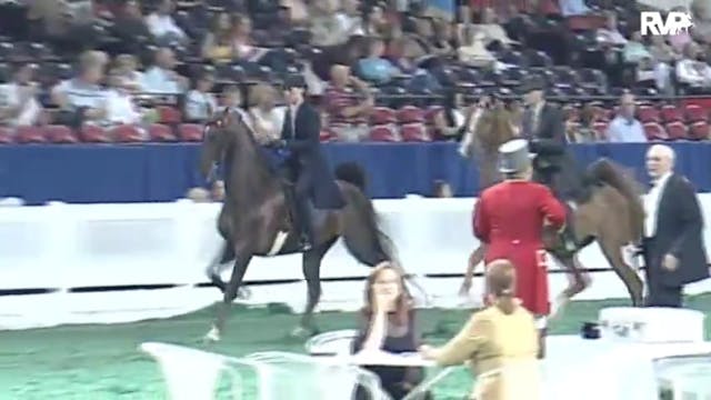 2010 World's Championship Horse Show ...