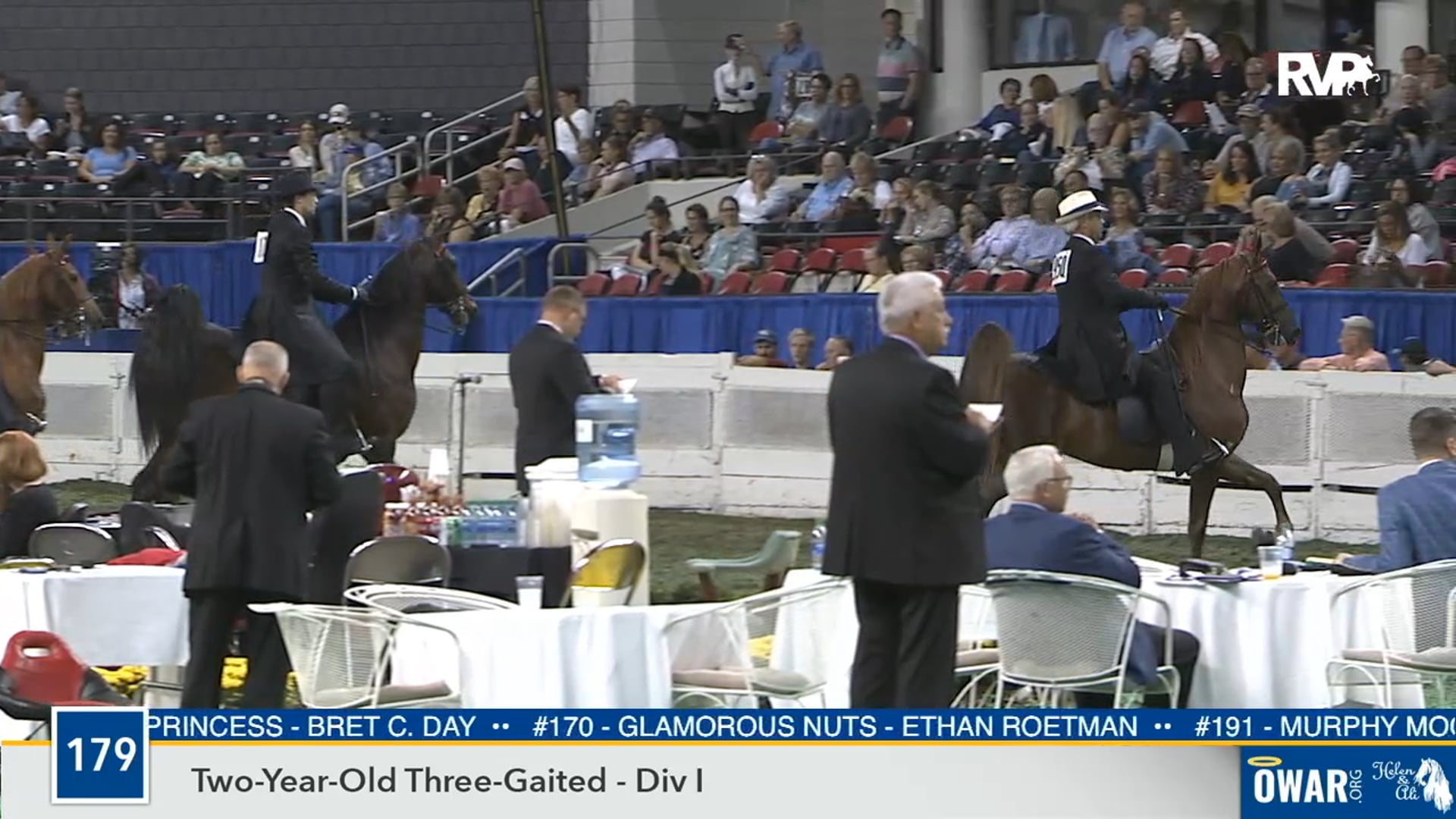 2019 WCHS - Class 179 Two Year Old Three Gaited - Division I