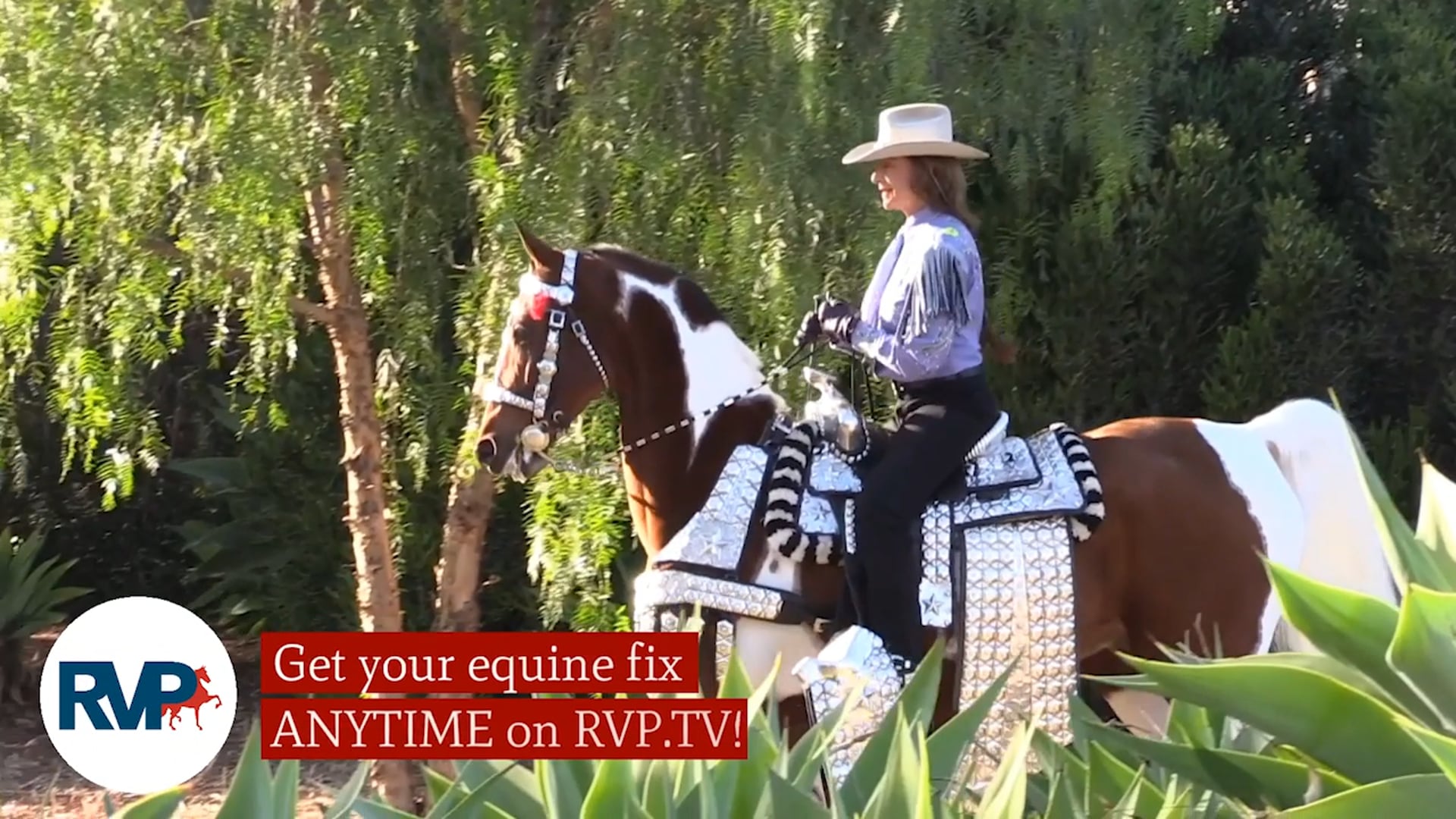 MW21 - Class 51 - CH The Crescendo and Mia Provenzano, up