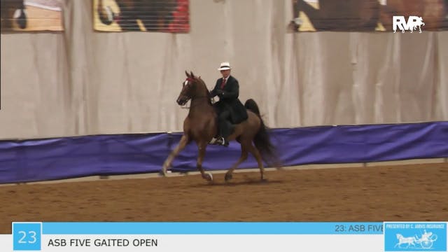 GASP23 - Class 23 - ASB Five Gaited Open