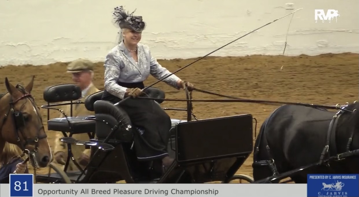 BB21 - Class 81 - Opportunity All Breed Pleasure Driving Championship 