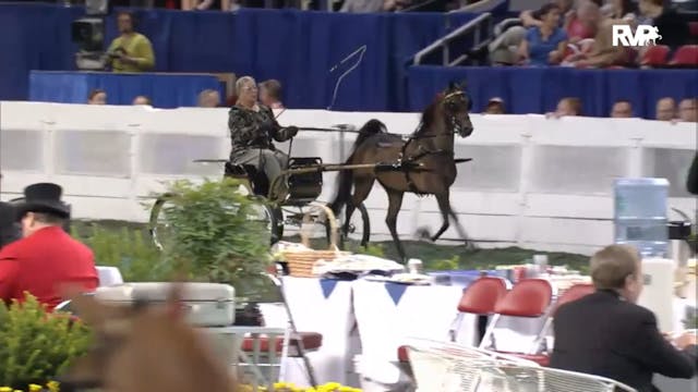 2012 WCHS - Class 48 Harness Pony Mar...