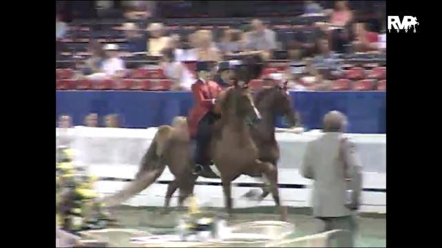 1998 WCHS - Class 90 ASB Three Gaited...