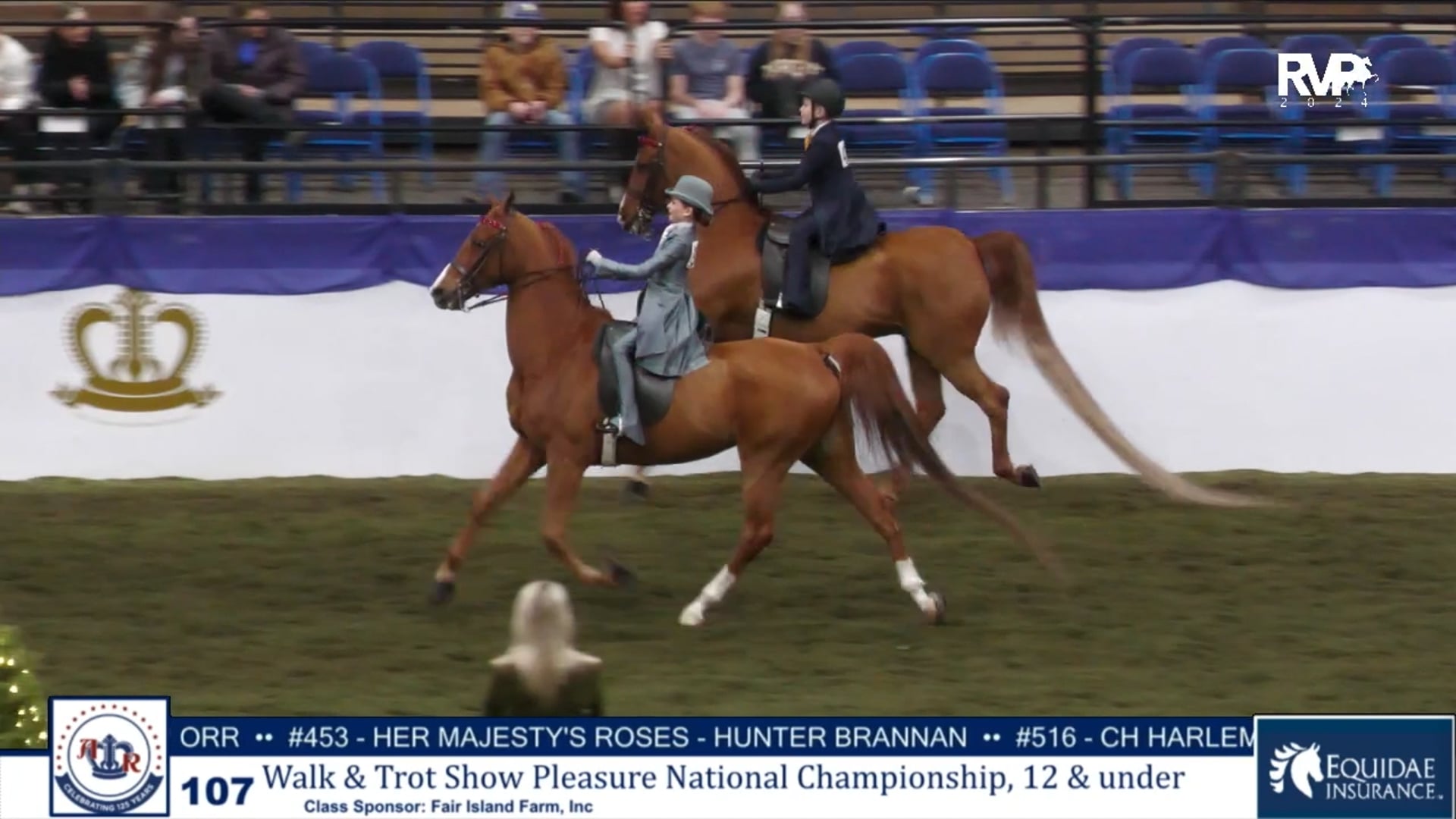 AR24 - Class 107 - W-T Show Pleasure National Championship 12 & Under