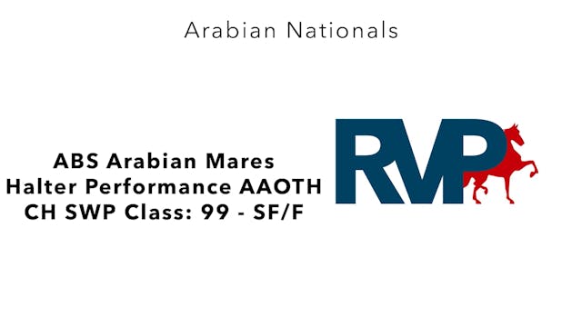 AN24 - Class 2093 - ABS Arabian Mares...