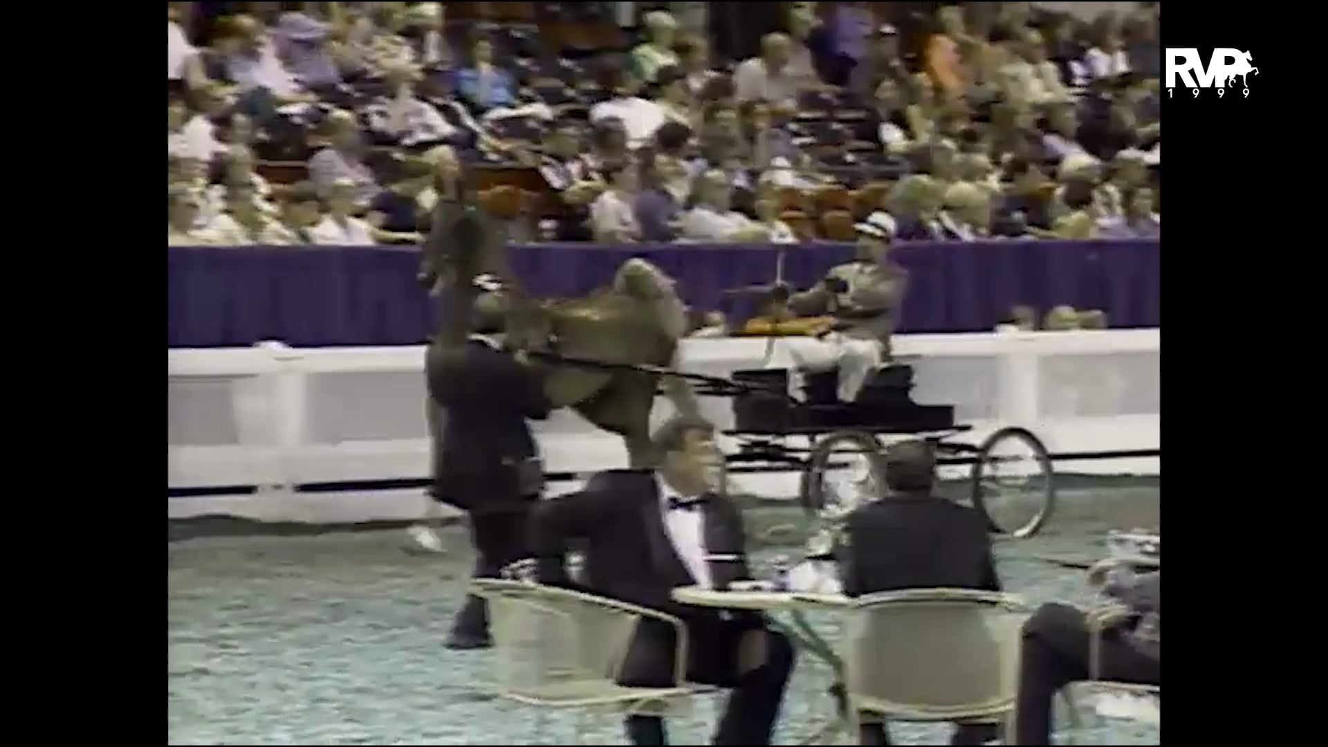 1999 WCHS - Class 58 Amateur Fine Harness Gentlemen’s Stake