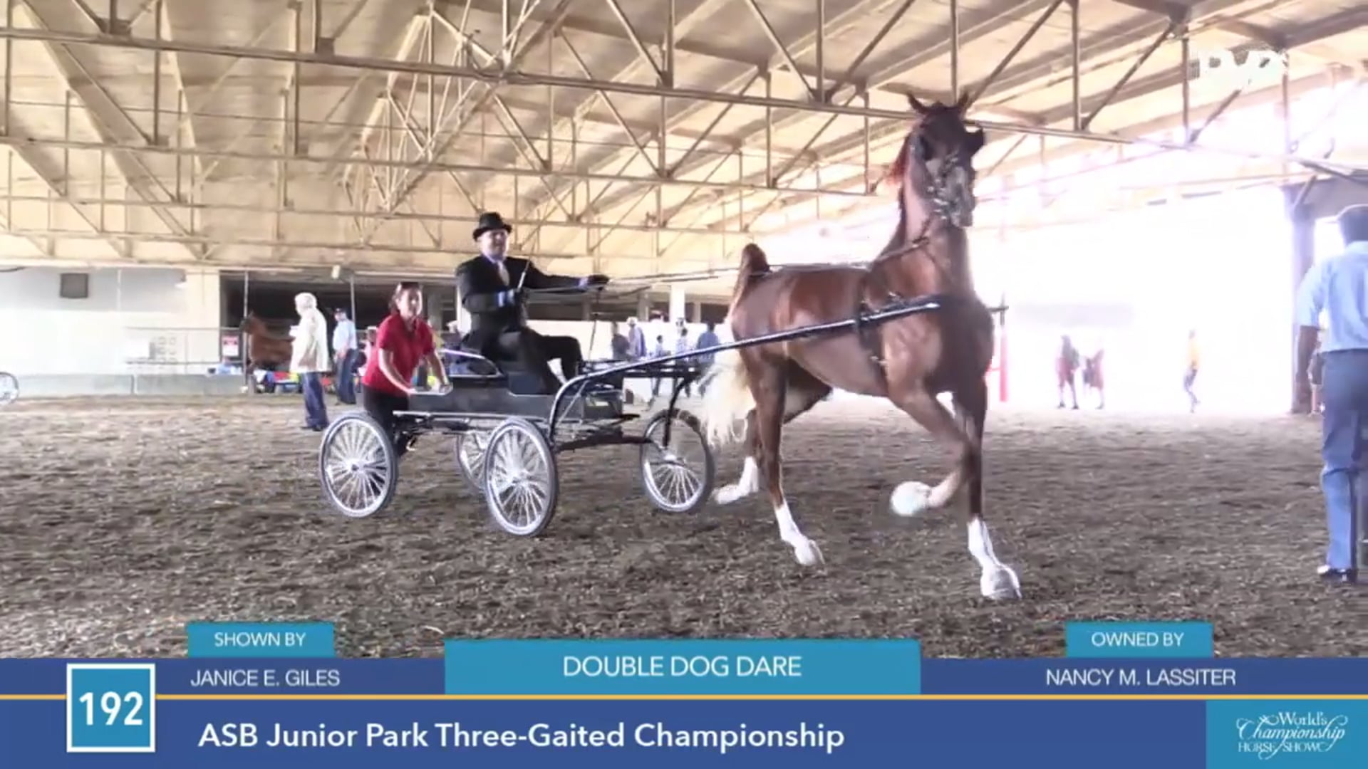 2015 WCHS - Class 192 ASB Junior Park Three Gaited Championship