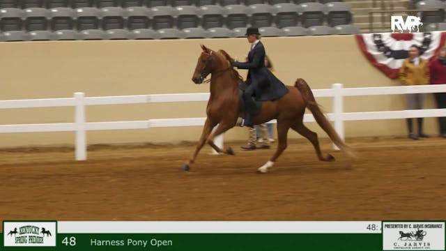 KYSP24 - Class 48 - ASB Three Gaited ...