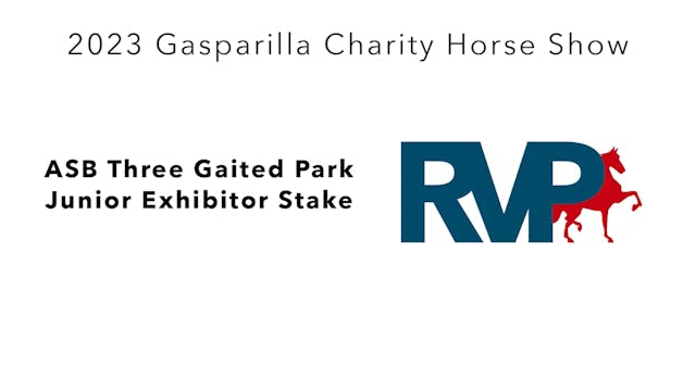 GASP23 - Class 111 - ASB Three Gaited...