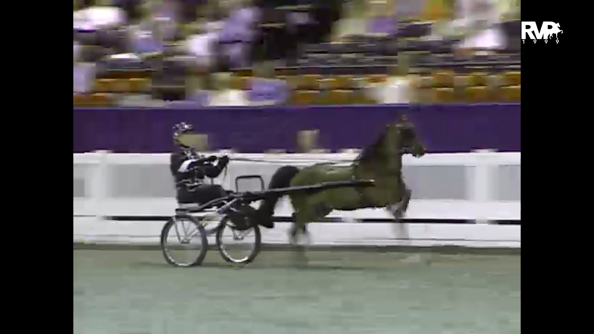 1999 WCHS - Class 206 Roadster Pony Junior Exhibitor 14-17 Championship