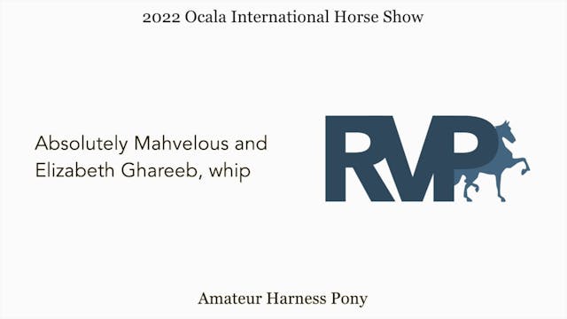 OIHS22 - Class 17 - Absolutely Mahvel...