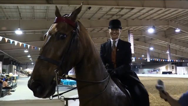 2017UPHA16 - Bling Me The Stars - Stake 