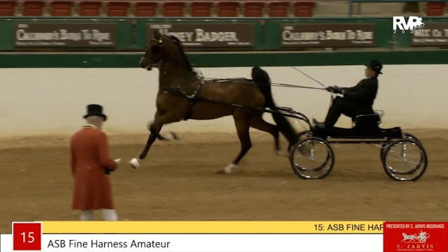 NCSC21 - Class 15 - ASB Fine Harness ...