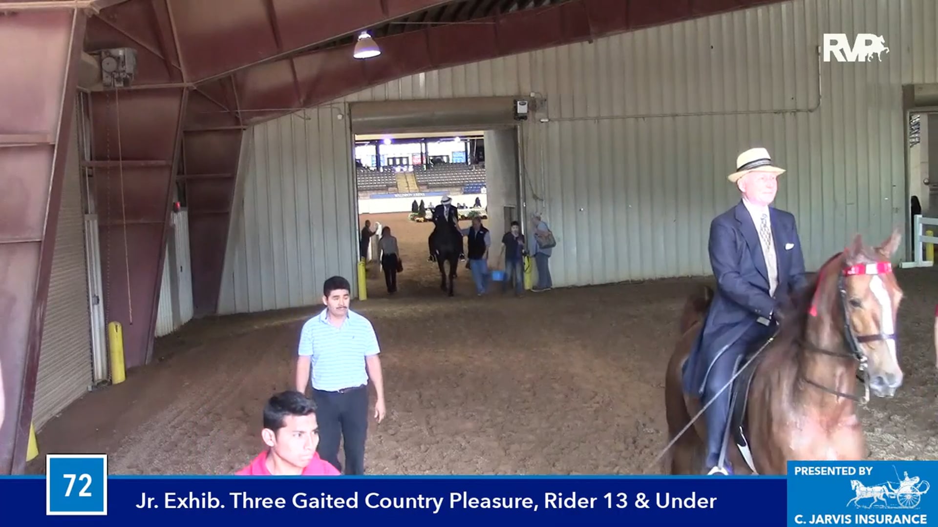 BB16 - UPHA Three Year Old Park Pleasure Classic 