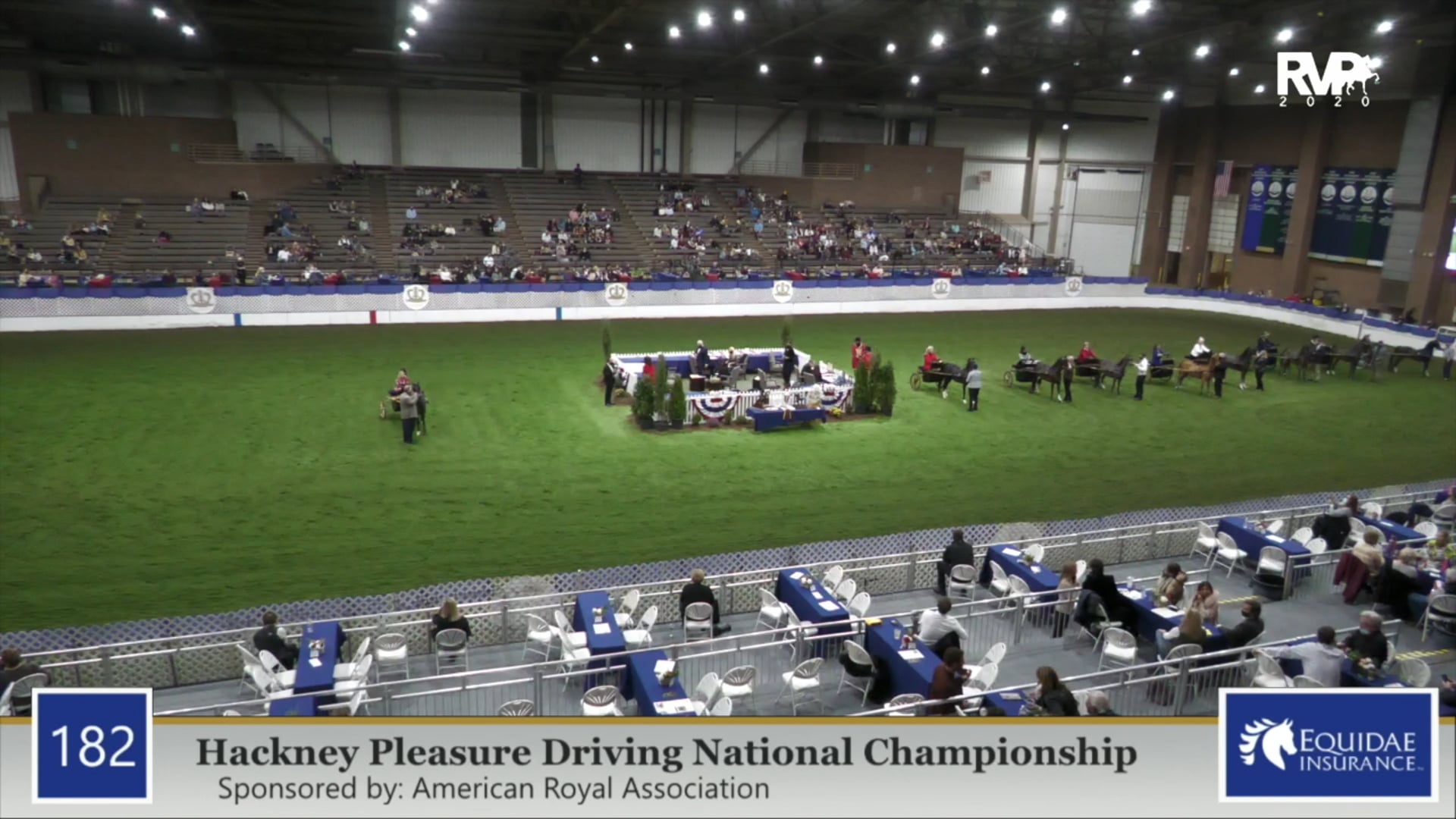 2020 AR - Class 182 Hackney Pleasure Driving
National Championship