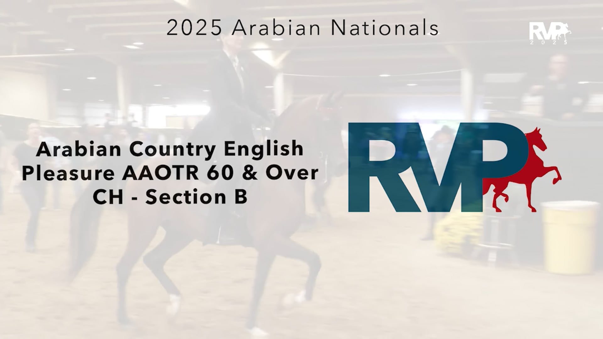 AN25 - Class 2628b - Arabian Country English Pleasure AAOTR 60 & Over CH - Section B