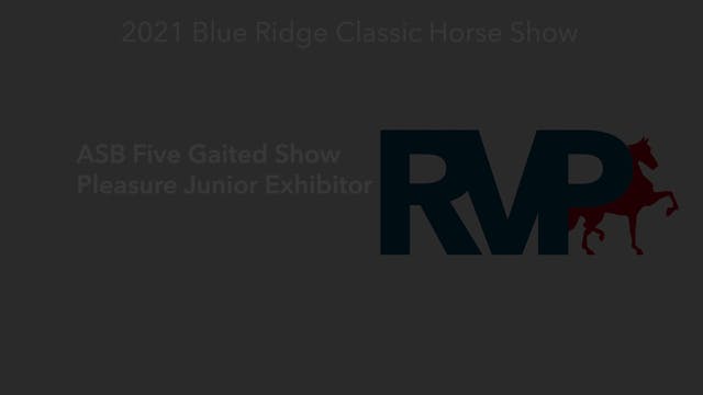 BR21 - Class 3 - ASB Five Gaited Show...