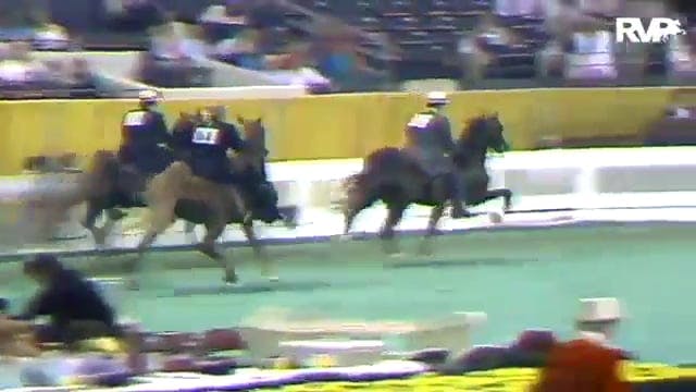 1986 WCHS Class 25 Five Gaited Stalli...