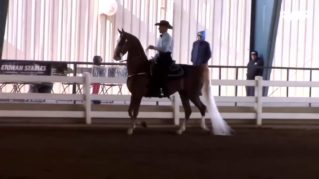 MW17 - Friday Morning