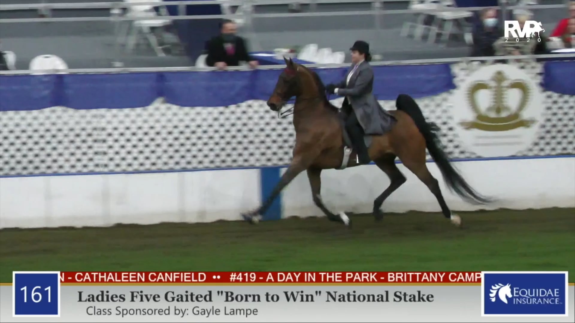 2020 AR - Class 161 Ladies Five Gaited "Born To Win"
National Stake