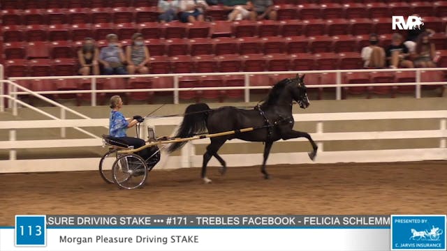 2020 ASF - Class 113 Morgan Pleasure ...