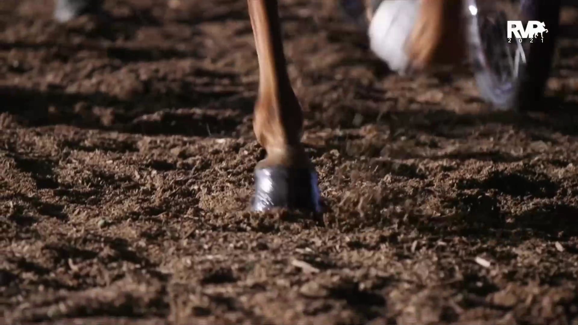 2021 Bridlespur Society Horse Show - Friday Evening