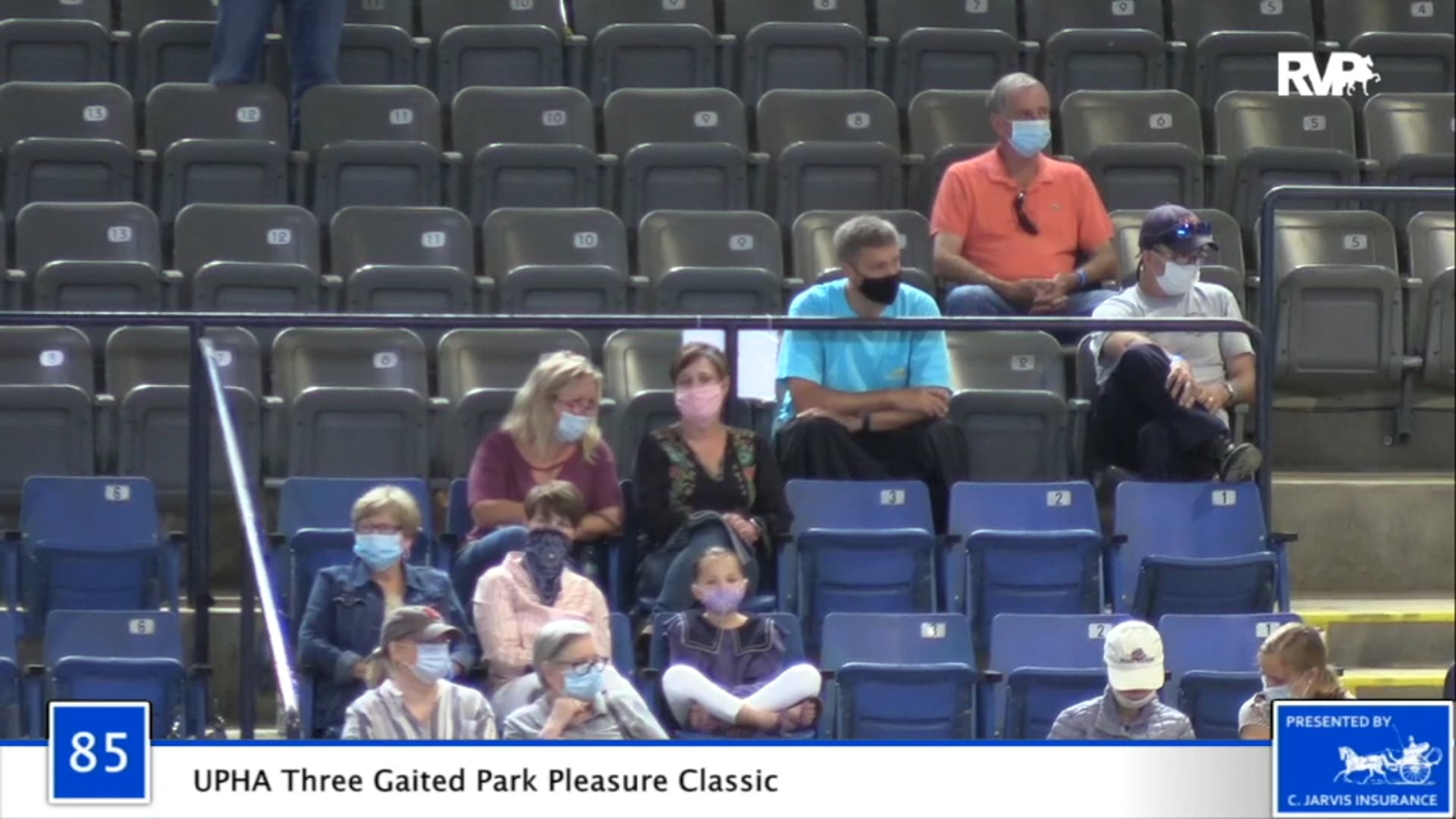 2020 BB - Class 85 UPHA Three Gaited Park Pleasure
Classic