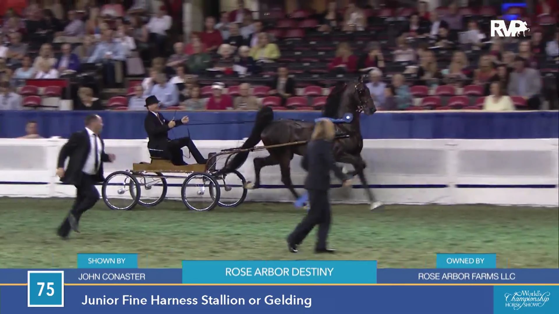 WCHS15 - Rose Arbor Destiny