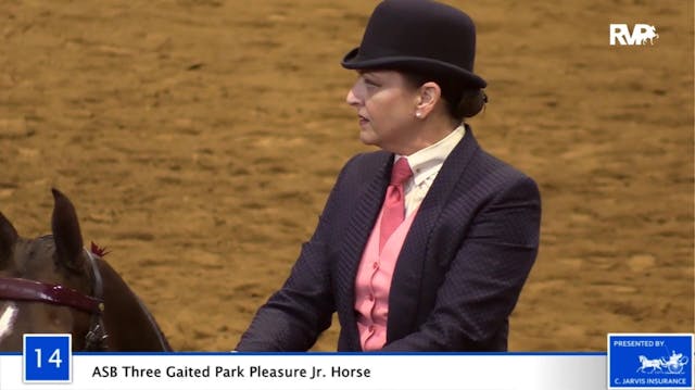 2020 Bonnie Blue Horse Show - Wednesd...