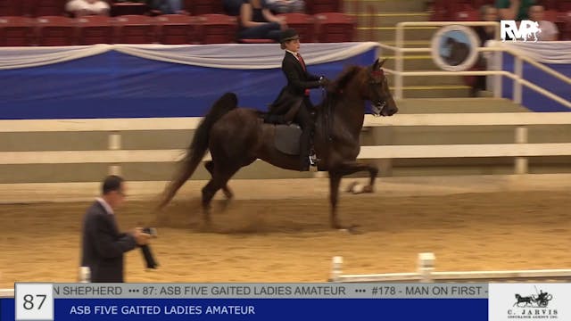 BR22 - Class 87 - ASB Five Gaited Lad...