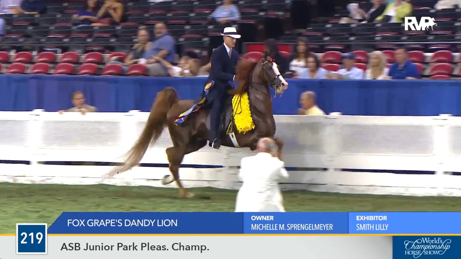 WCHS16 - Fox Grape's Dandy Lion - Championship 