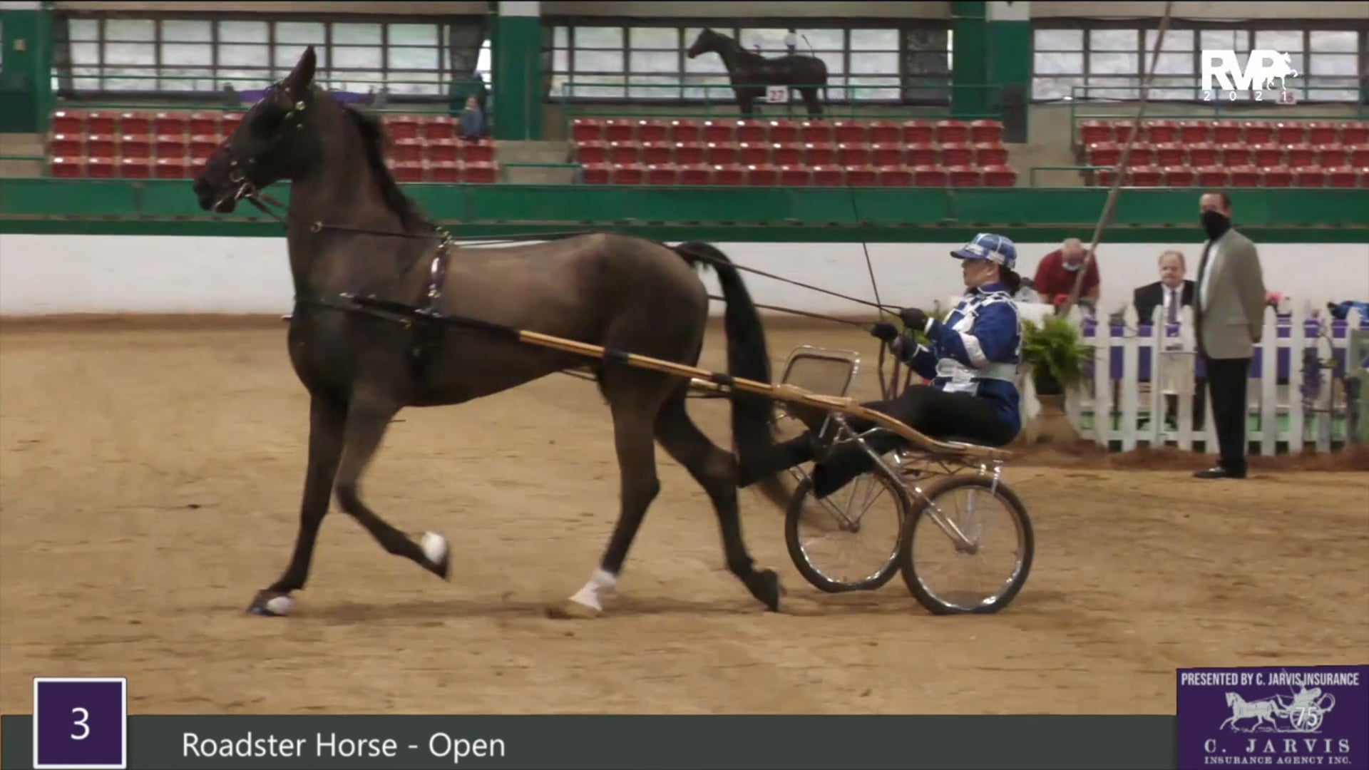 RSP21 - Class 3 - Roadster Horse Open