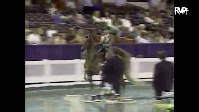 1999 WCHS - Class 25 ASB Three Gaited...