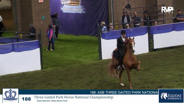 KC25 - Class 188 - Three Gaited Park ...