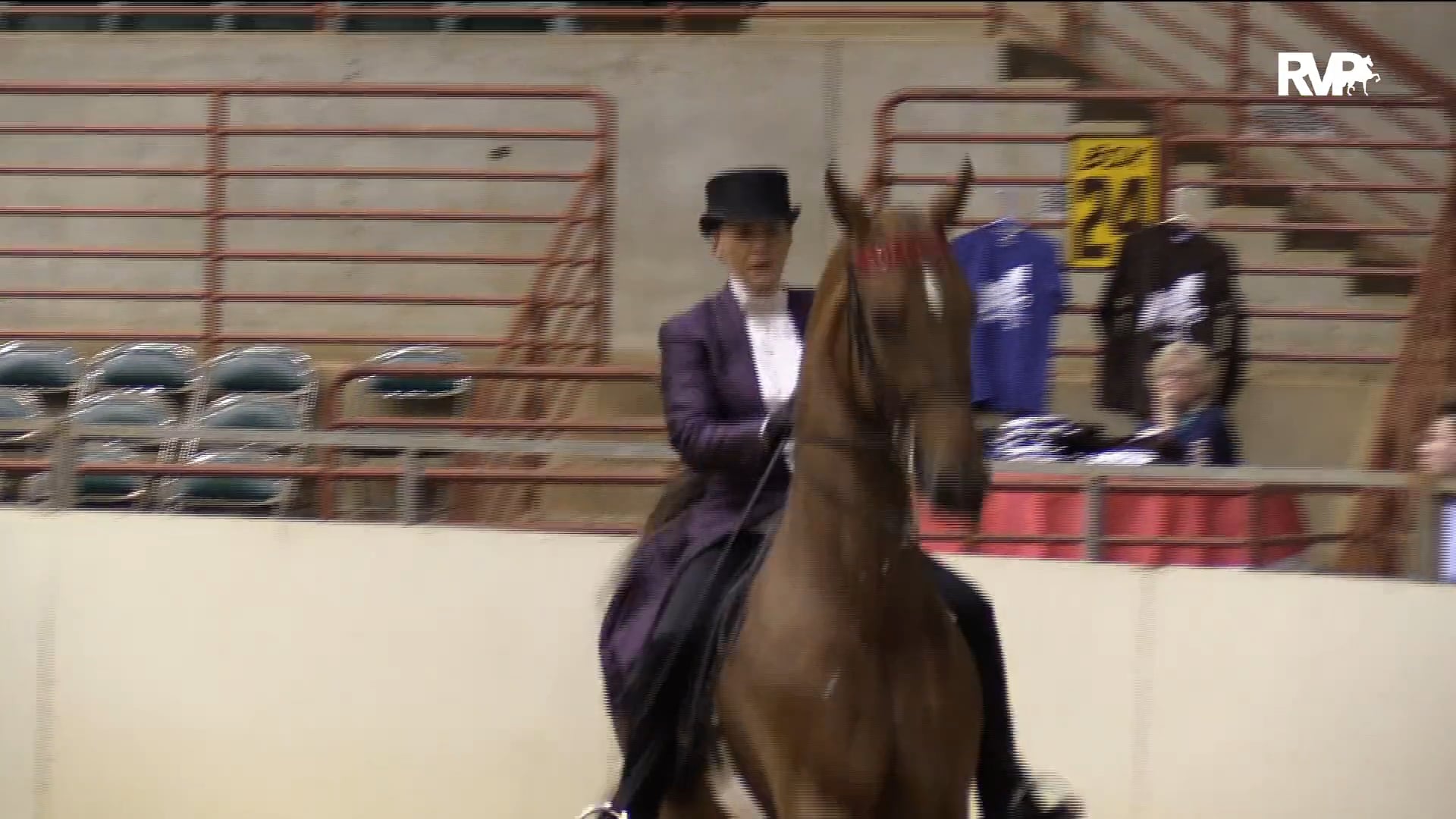 PA18 Class 90 Ladies Three Gaited Stake
