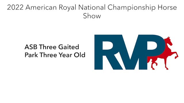 AR22 - Class 2 - ASB Three Gaited Par...