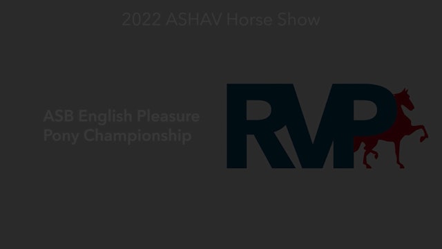ASHAV22 - Class 94 - ASB English Pleasure Pony Championship