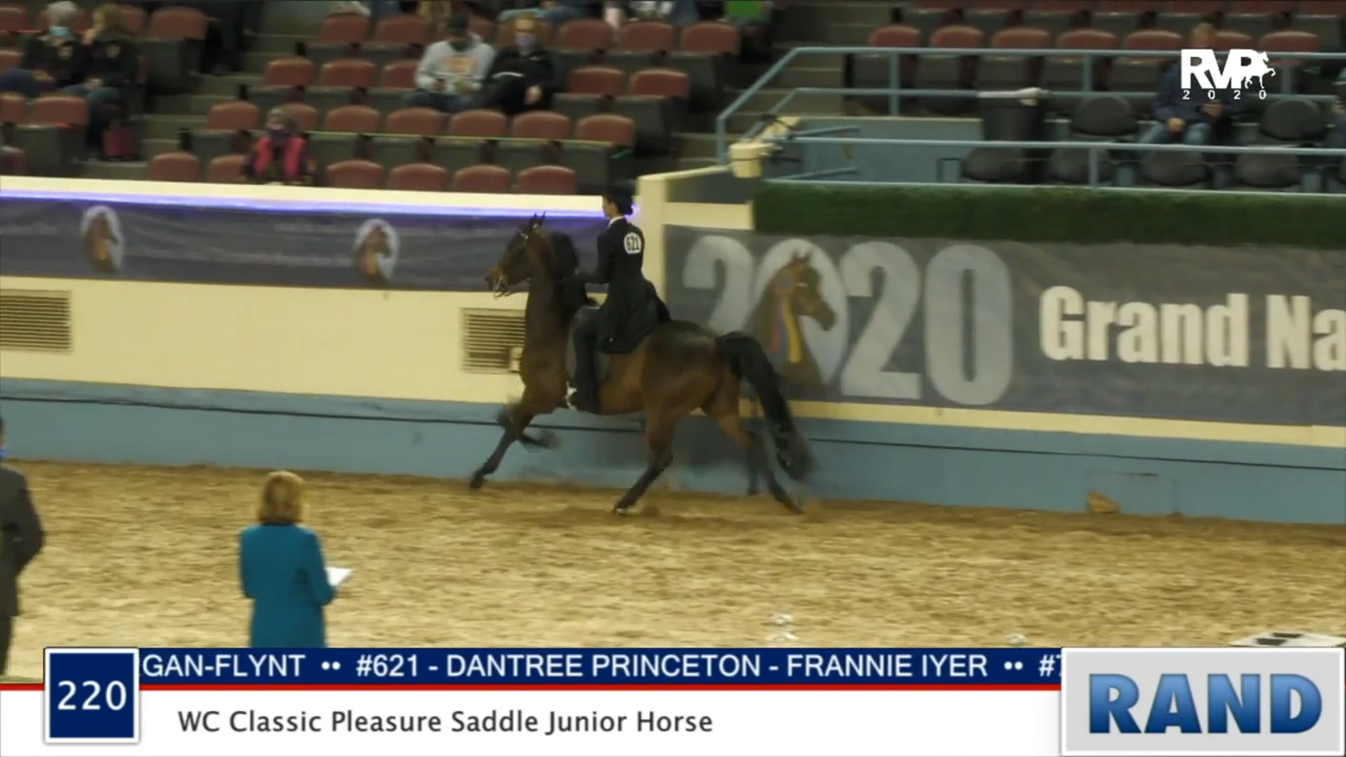 2020 MGN - Class 220 WC Classic Pleasure Saddle Junior Horse