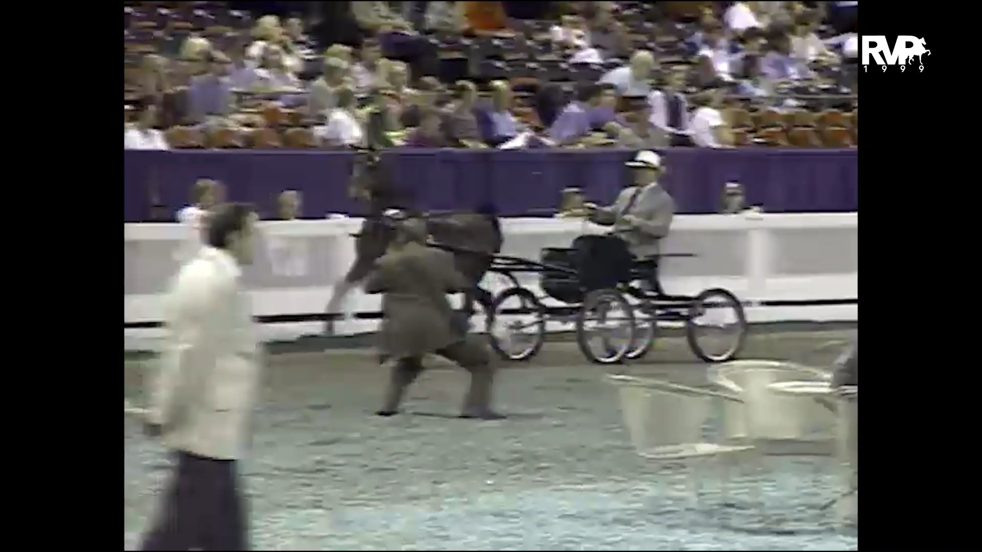 1999 WCHS - Class 128 Hackney Pony Stallion-Gelding Stake