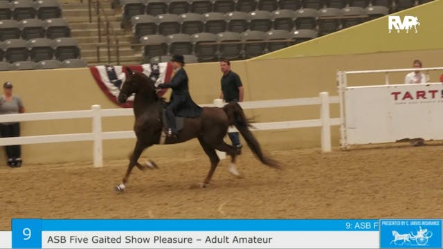KFC23 - Class 9 - ASB Five Gaited Sho...