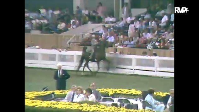 1988 WCHS Class 143 Kentucky State Fa...