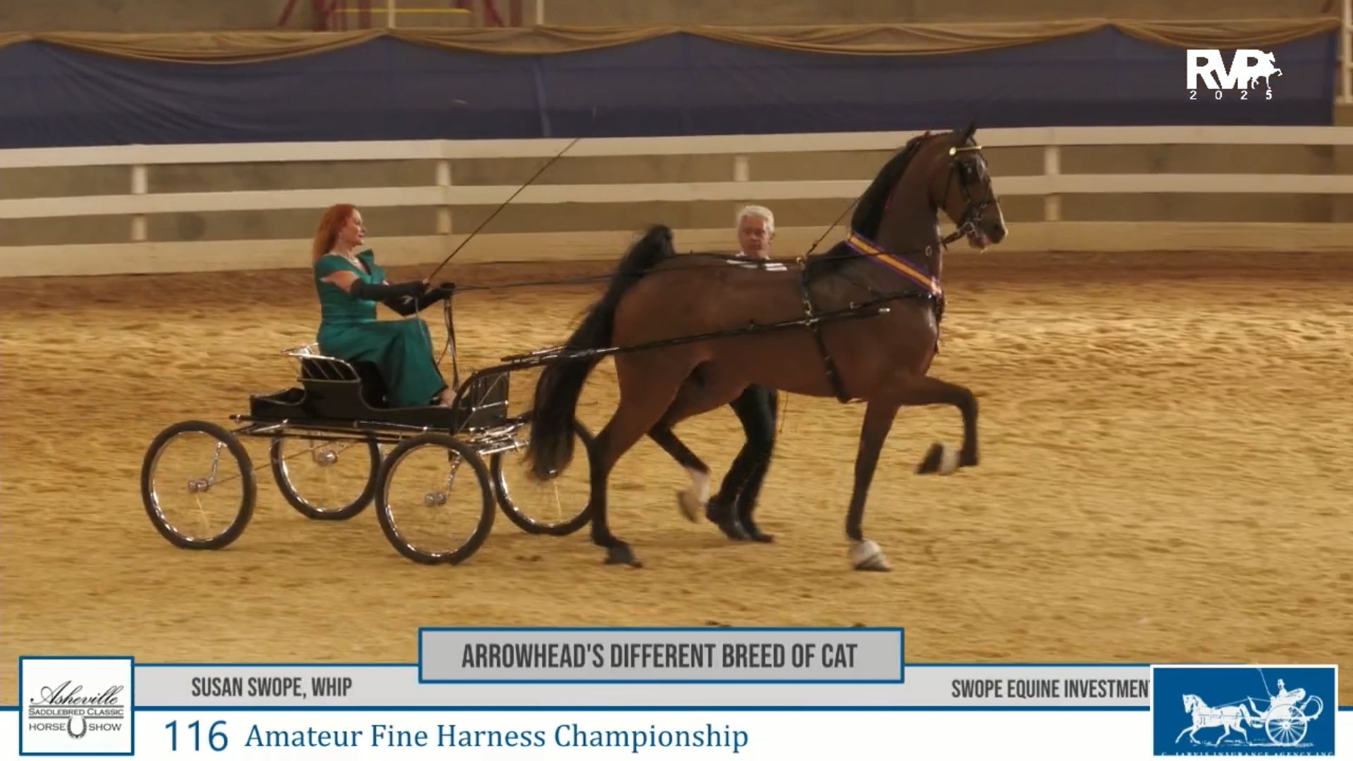 ASC25 - Class 116 - Arrowhead's Different Breed of Cat and Susan Swope, Whip